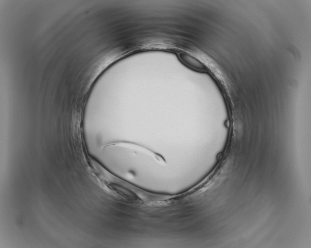 X0000112041337200908311228