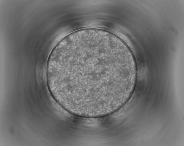X0000112041338200908311228
