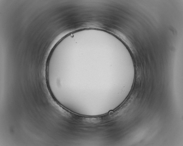 X0000112041339200908311228