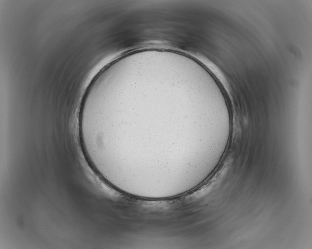 X0000112041341200908311228
