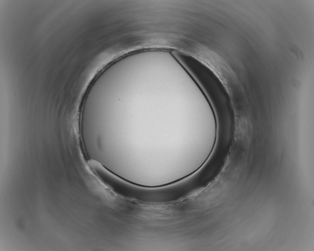 X0000112041342200908311228