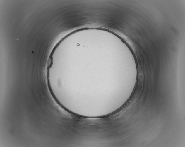 X0000112041343200908311228