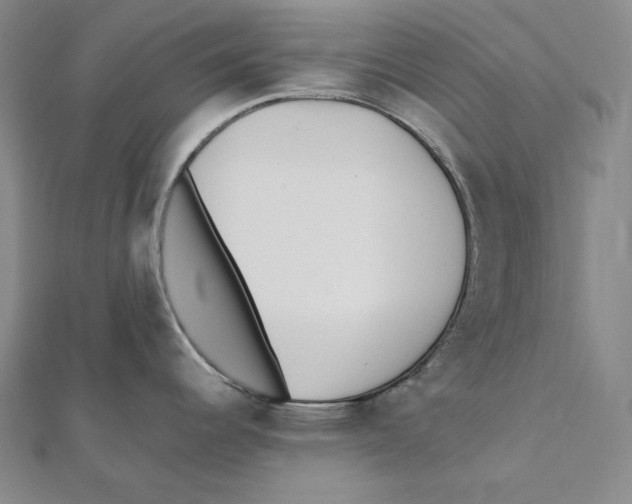 X0000112041344200908311228
