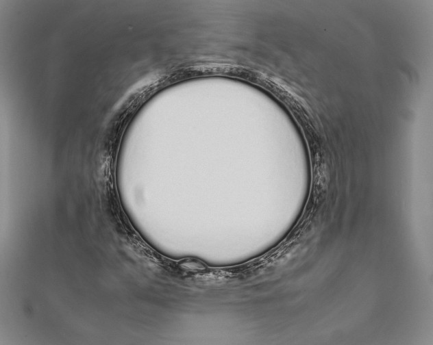 X0000112041351200908311227