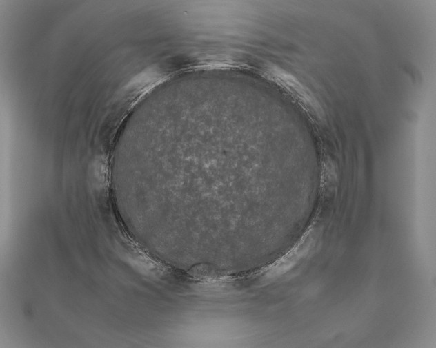 X0000112041353200908311227