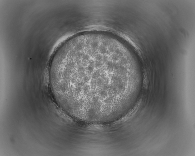 X0000112041358200908311227