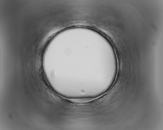X0000112041359200908311227