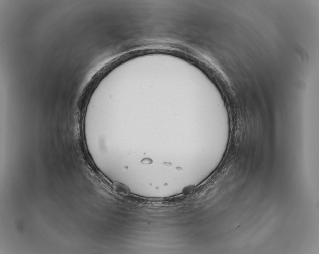 X0000112041360200908311227