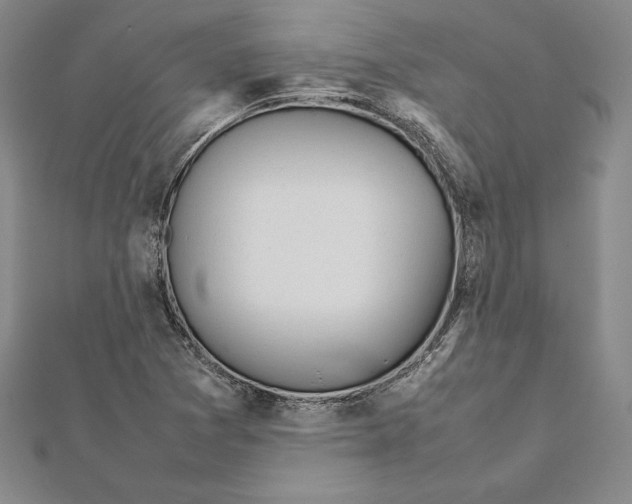 X0000112041361200908311227