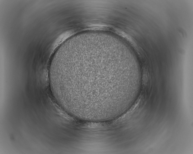 X0000112041362200908311227