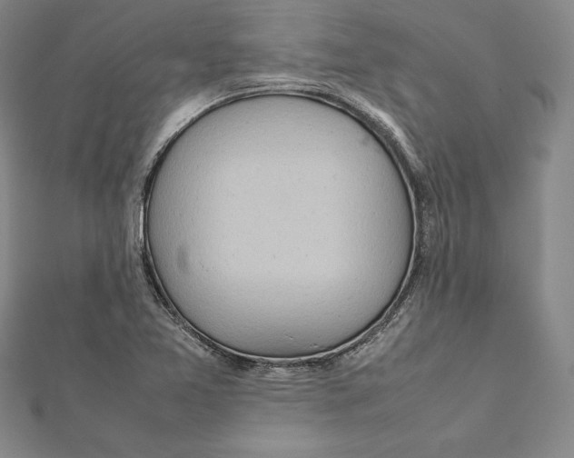 X0000112041365200908311227