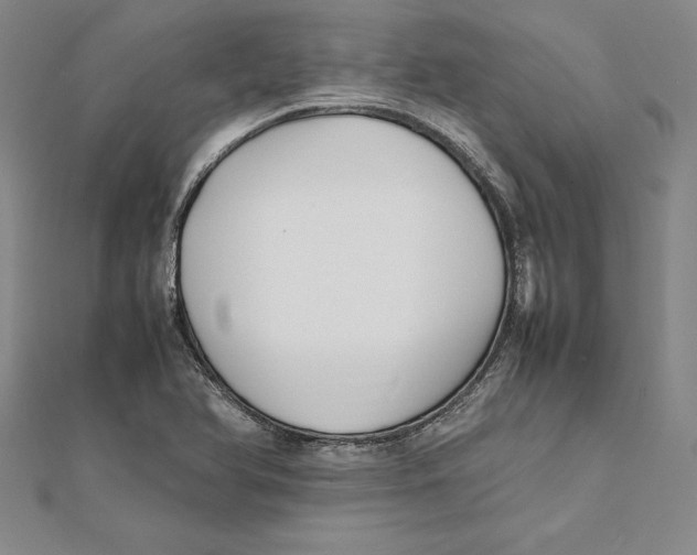 X0000112041366200908311227