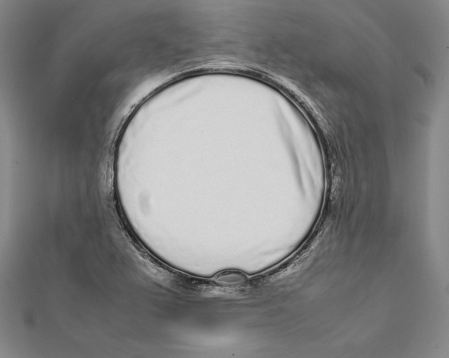 X0000112041367200908311227