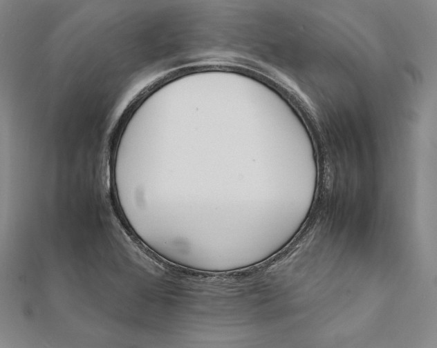 X0000112041368200908311227