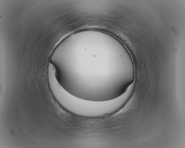 X0000112041369200908311227