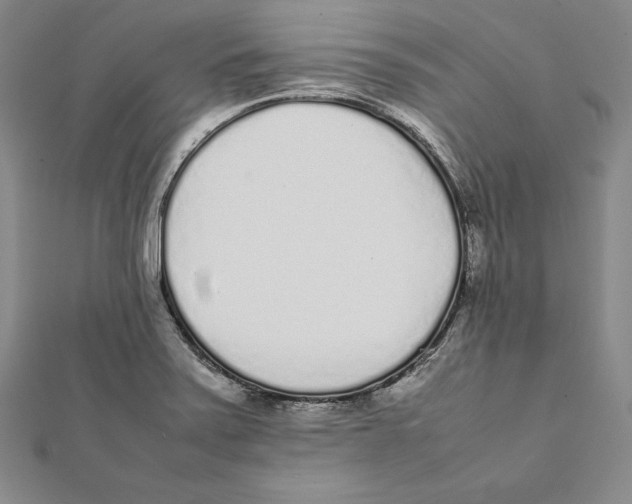 X0000112041371200908311227