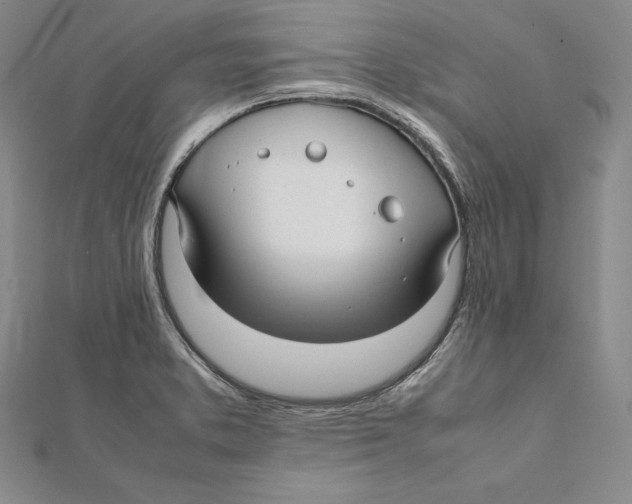 X0000112041373200908311227