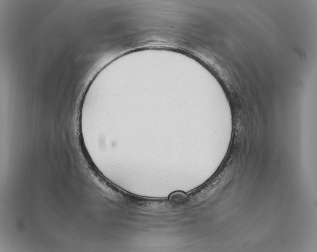 X0000112041375200908311227