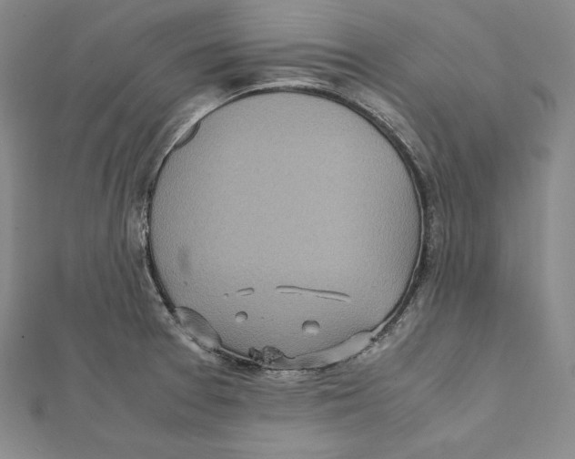X0000112041377200908311227
