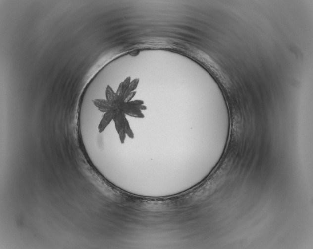 X0000112041378200908311227