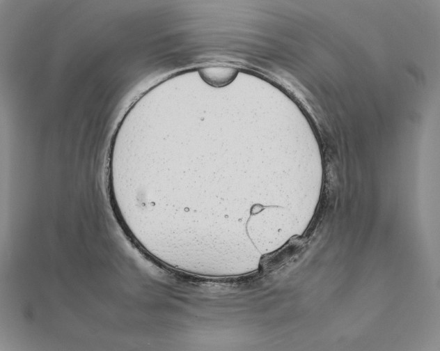 X0000112041379200908311227