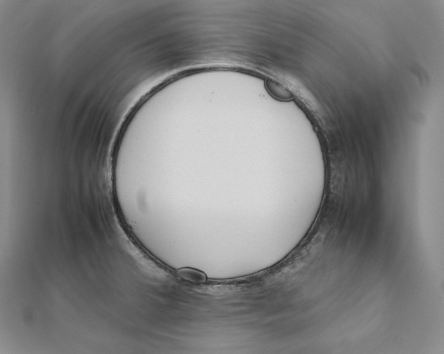 X0000112041380200908311227