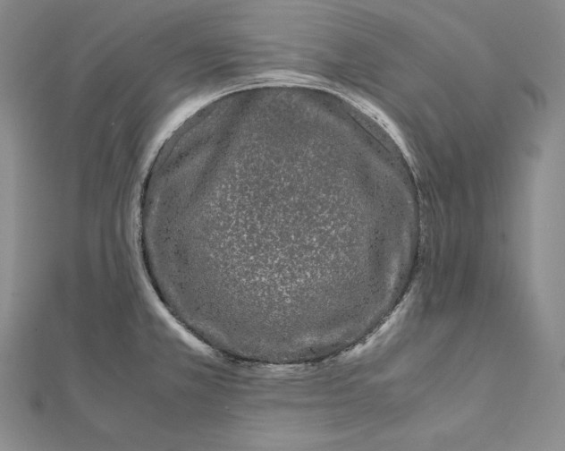 X0000112041381200908311227