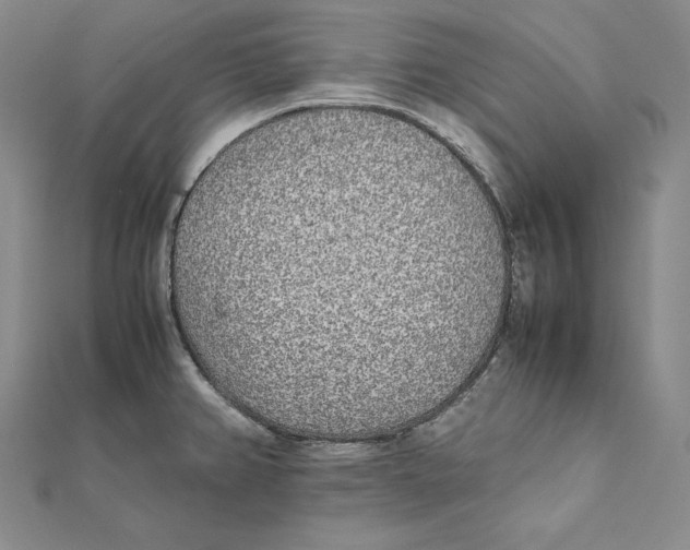 X0000112041382200908311227