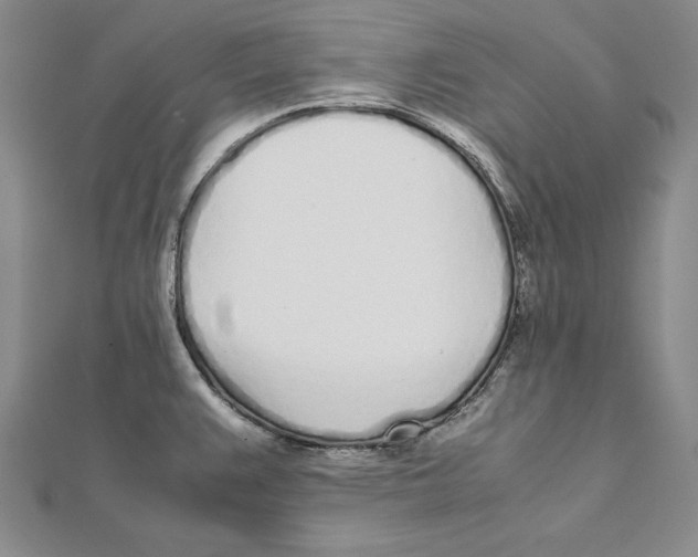 X0000112041383200908311227
