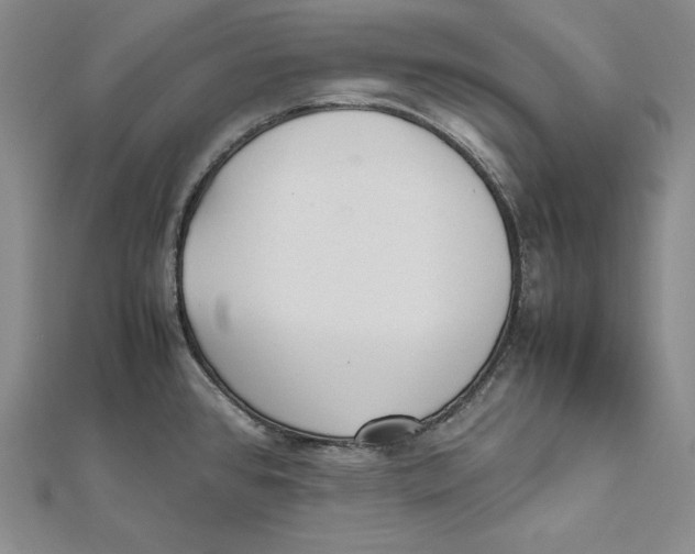 X0000112041384200908311227