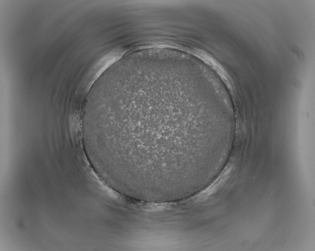 X0000112041385200908311227