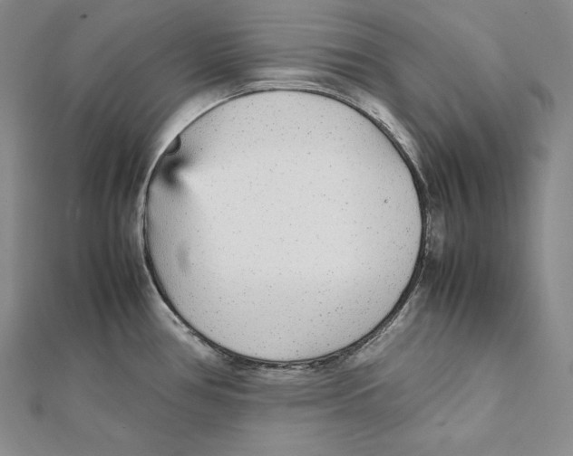 X0000112041386200908311227