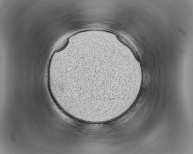 X0000112041387200908311227