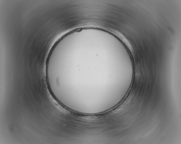 X0000112041388200908311227