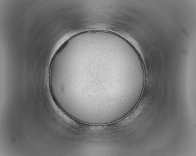 X0000112041389200908311227