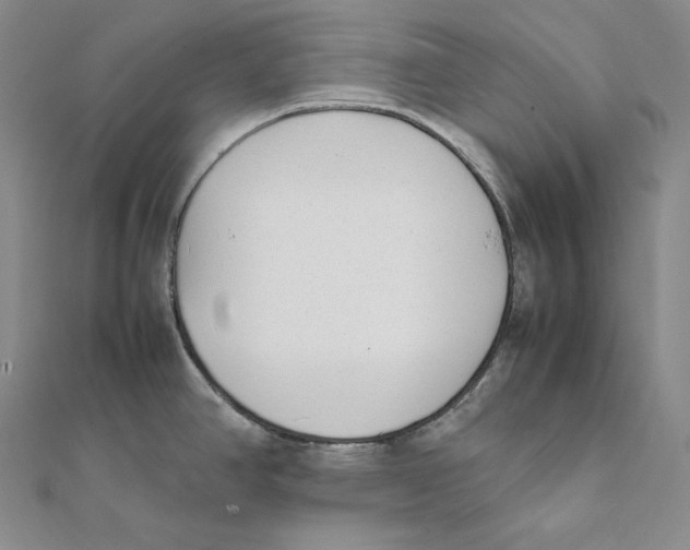 X0000112041390200908311227