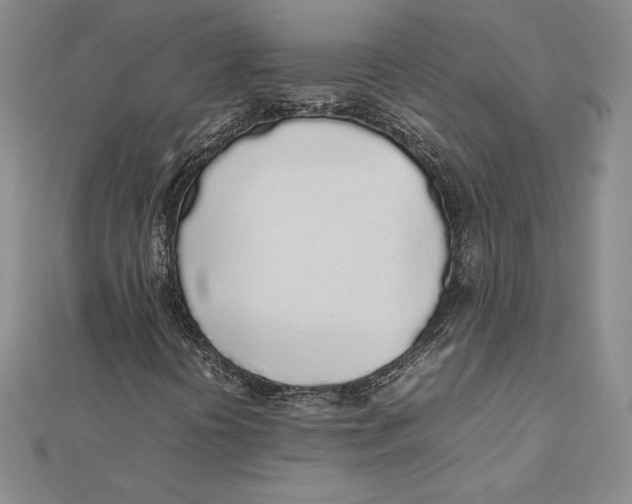 X0000112041394200908311226