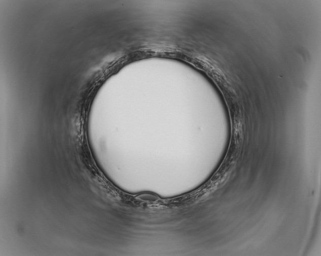 X0000112041398200908311226