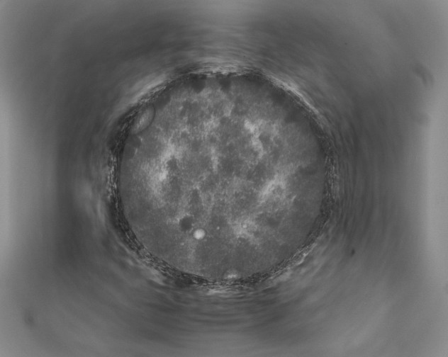 X0000112041399200908311226