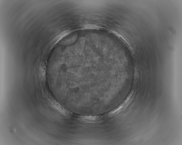 X0000112041401200908311226