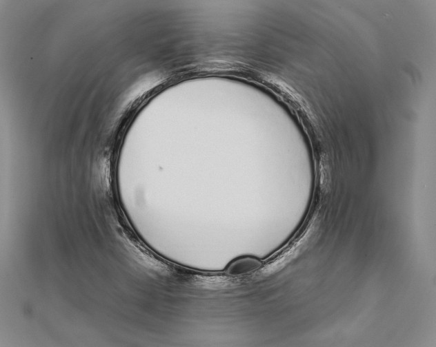 X0000112041402200908311226