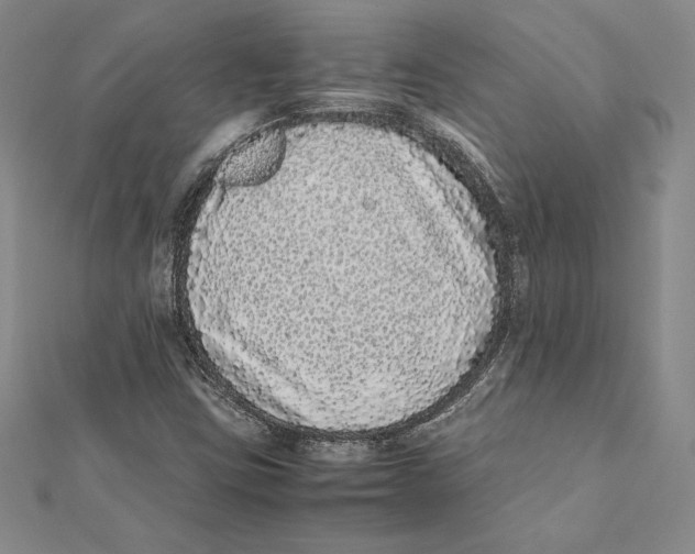 X0000112041403200908311226