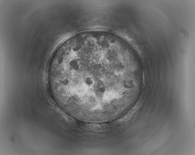 X0000112041405200908311226