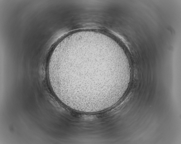 X0000112041407200908311226