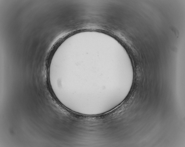 X0000112041408200908311226