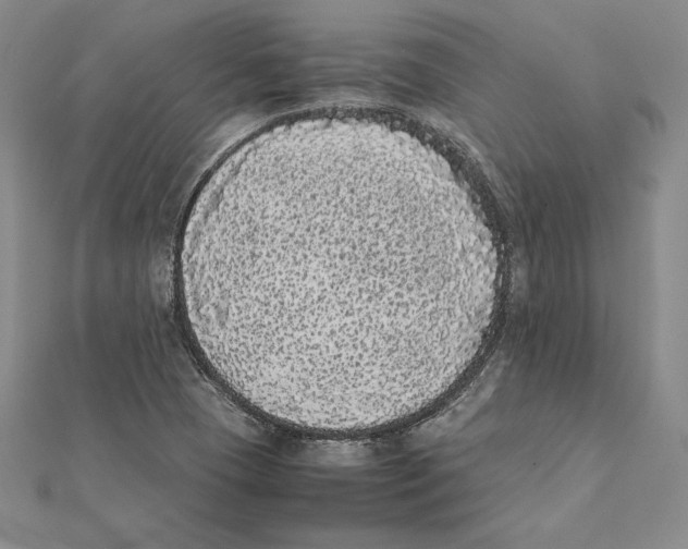 X0000112041409200908311226