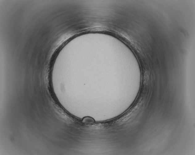 X0000112041410200908311226
