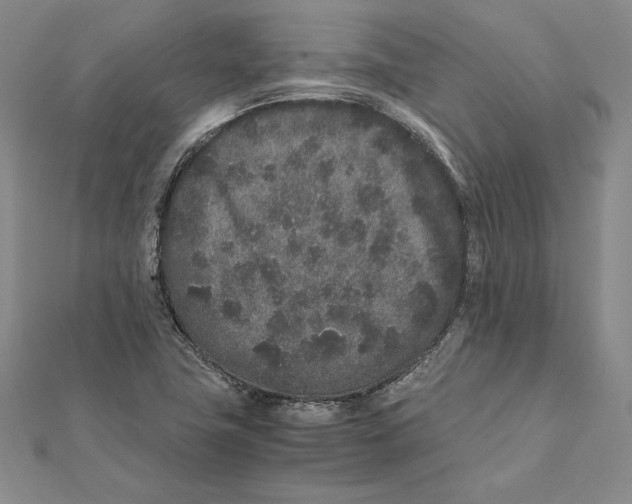 X0000112041411200908311226