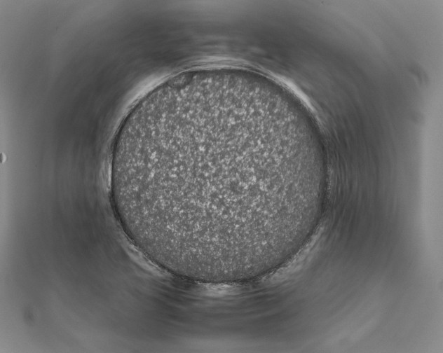X0000112041413200908311227