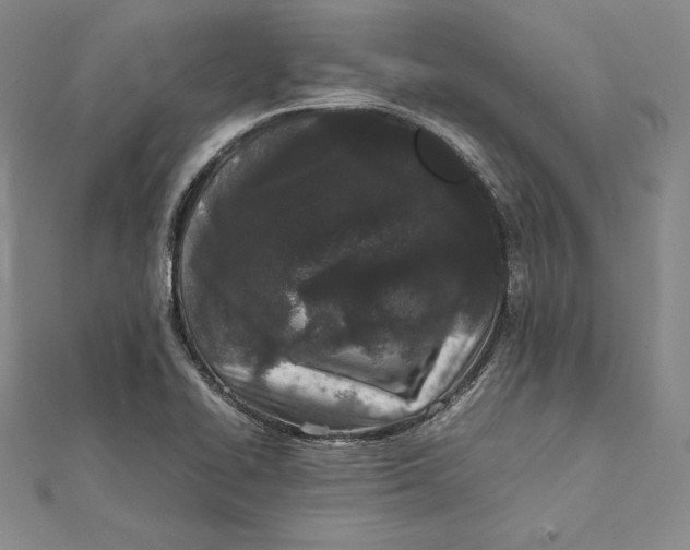 X0000112041414200908311227